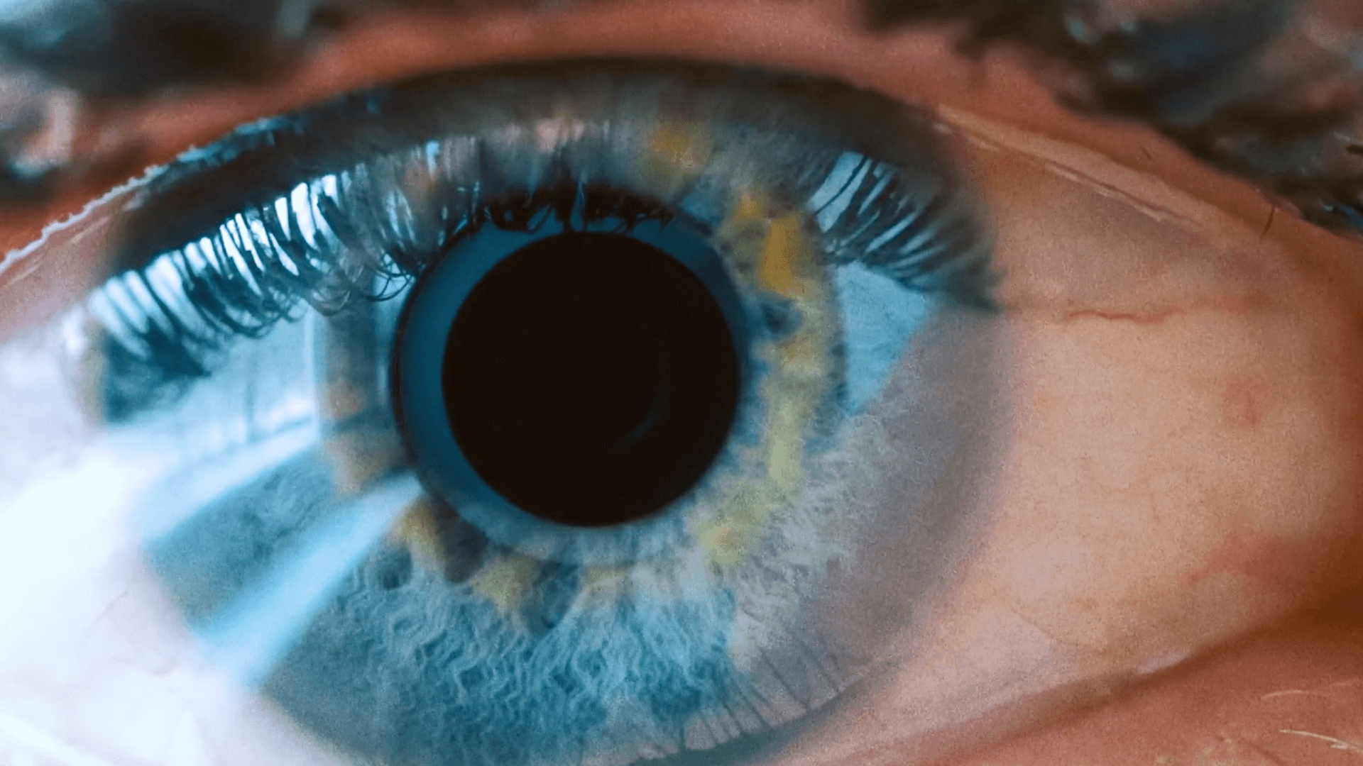 Wake Up Lockdown
Gabriel Seabra