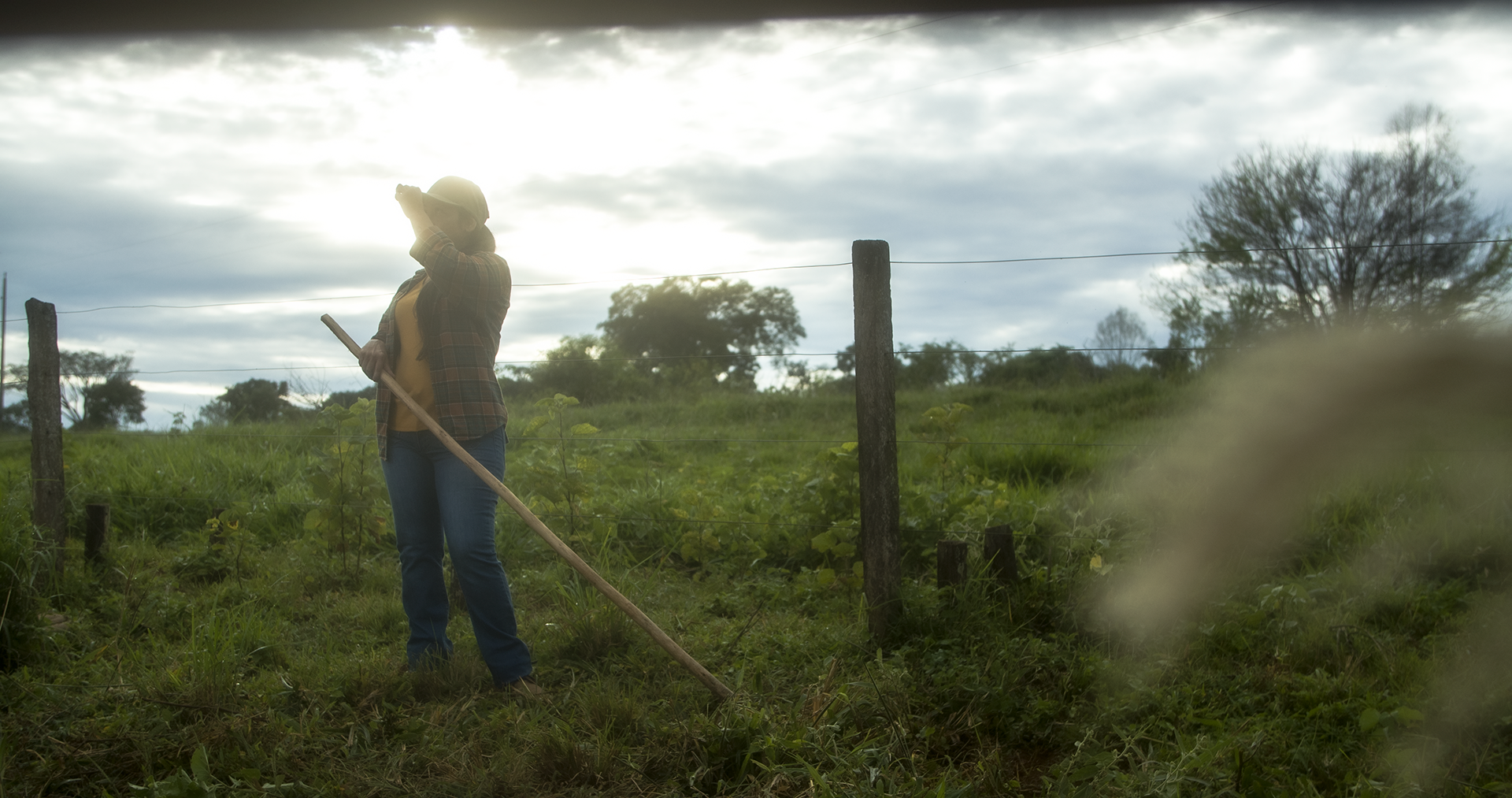 Dia das Mulheres - Senar - Goiás